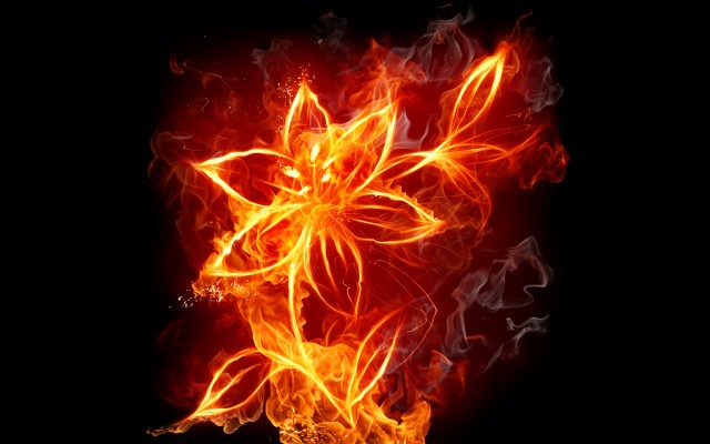 Fire Flower Gift