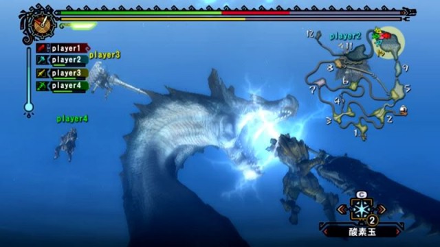 Monster Hunter Tri Screenshot