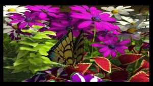 My Garden (3DS) Screenshot