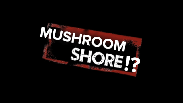 Mushroom Shore, masthead