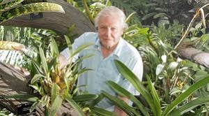 David Attenborough Plants 3D Documentary