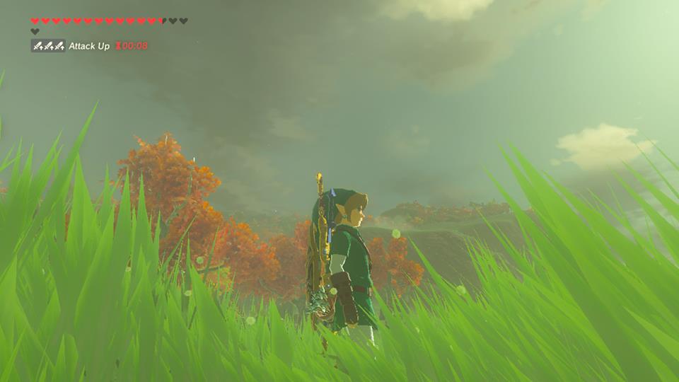 Breath of the Wild 4