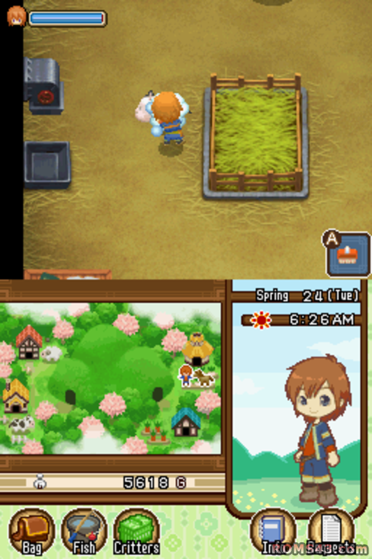 Harvest moon tale of two towns fishing rod limfajesus