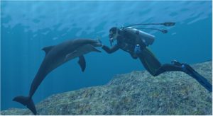 Dolphin Endless Ocean