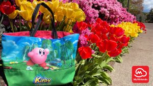 Kibry Sweepstakes MyNintendo 2022 April