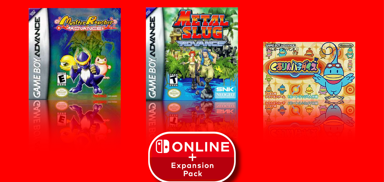 Nintendo Switch Online Expansion Pack 10.2026